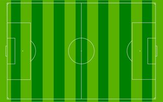 开云体育官方网入口-中超联赛定位球套路打法分布可视图，2021赛季中超比赛用球